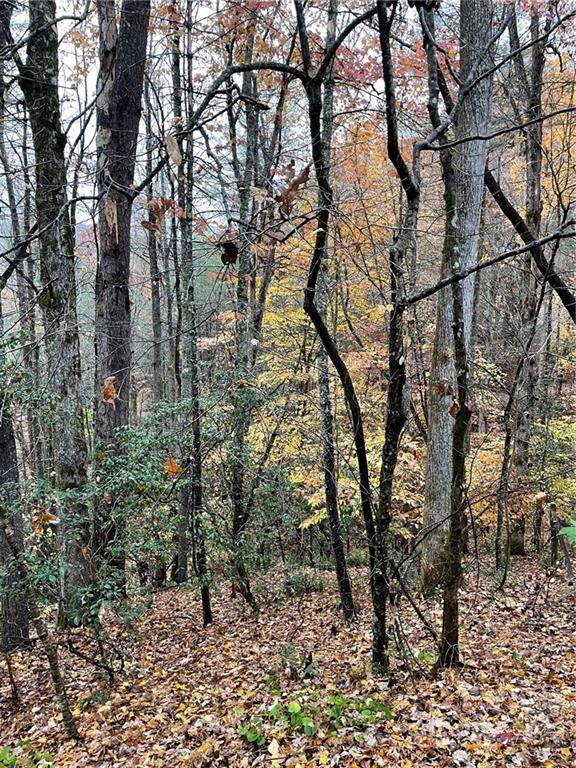 TR 13 Wetherbee Lane - Photo 1