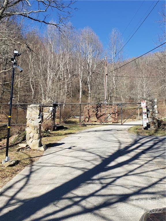343 Bear Wallow Trail - Photo 1