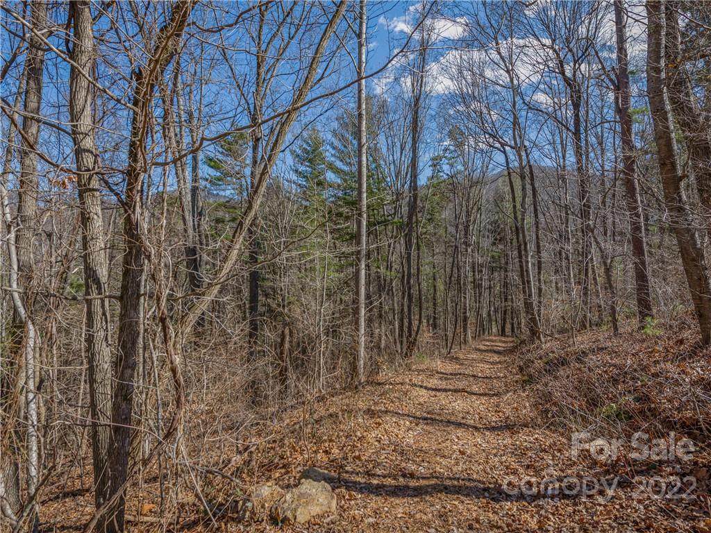 97 Longspur Lane - Photo 1
