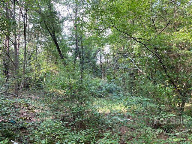 Lot 6 John Warren Drive - Photo 1