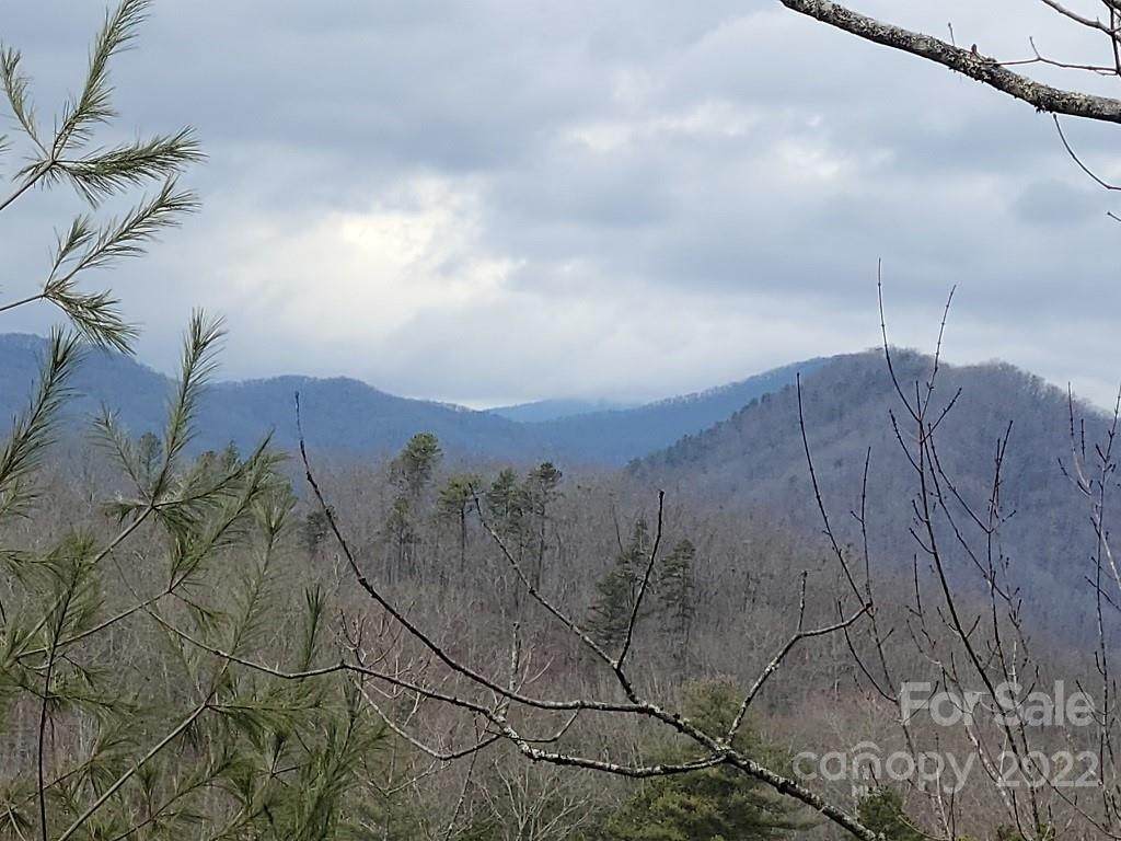 00 Laurel Branch Road - Photo 1