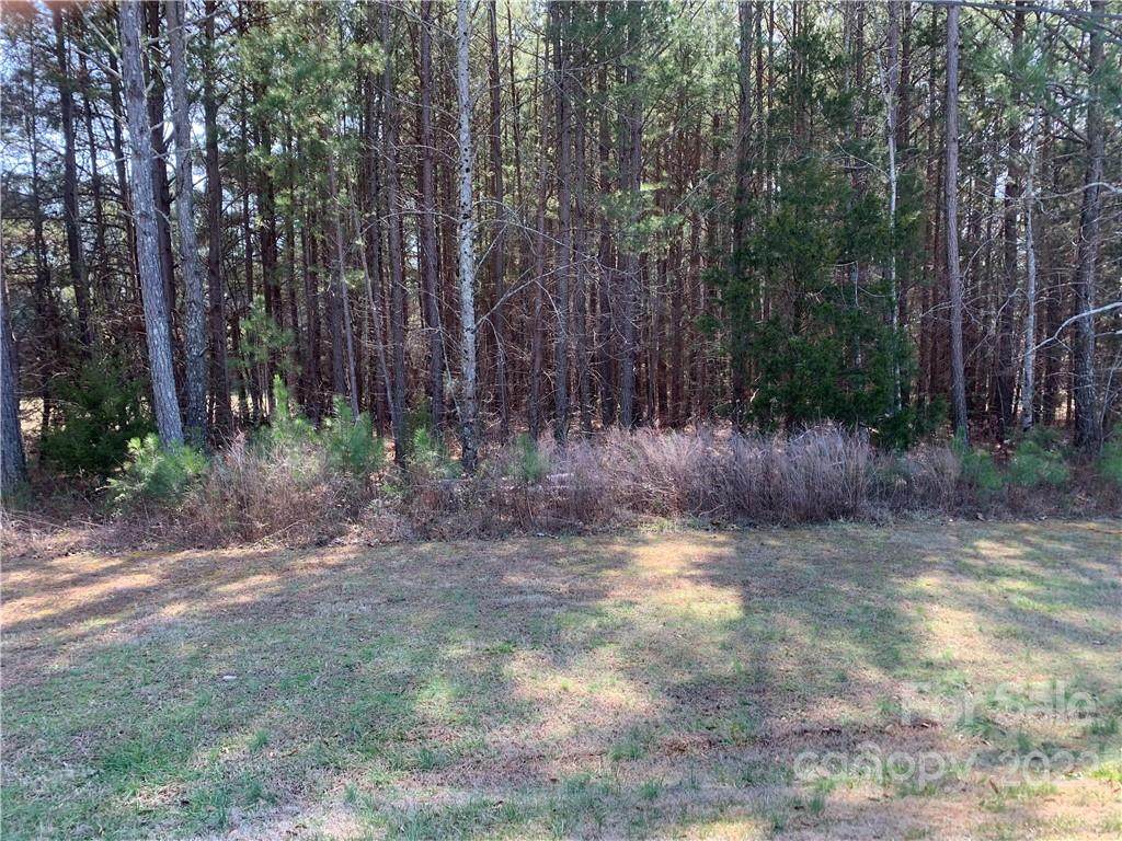 3075 Community Road - Photo 1