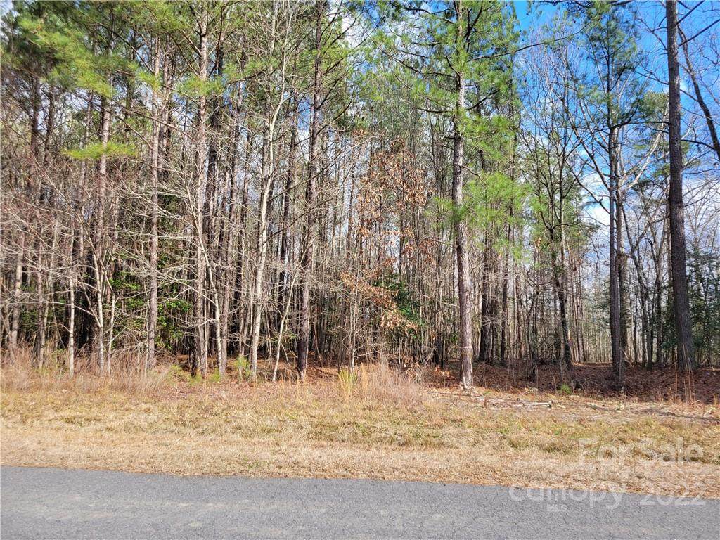 175 Lewis Road - Photo 1