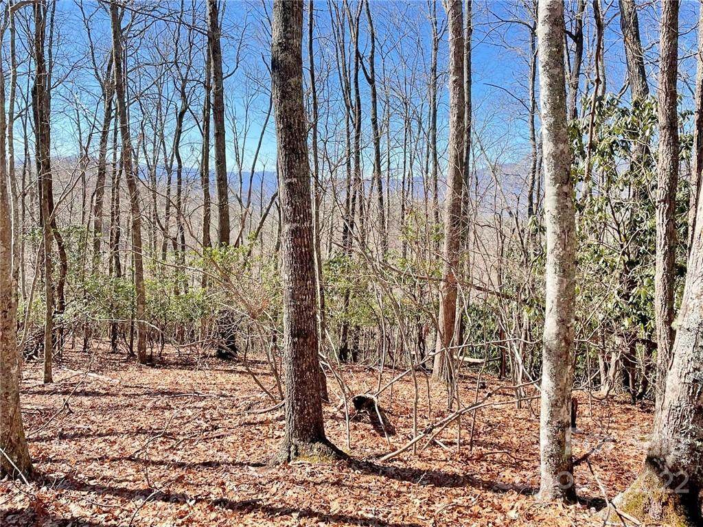 107 Boar Ridge Road - Photo 1