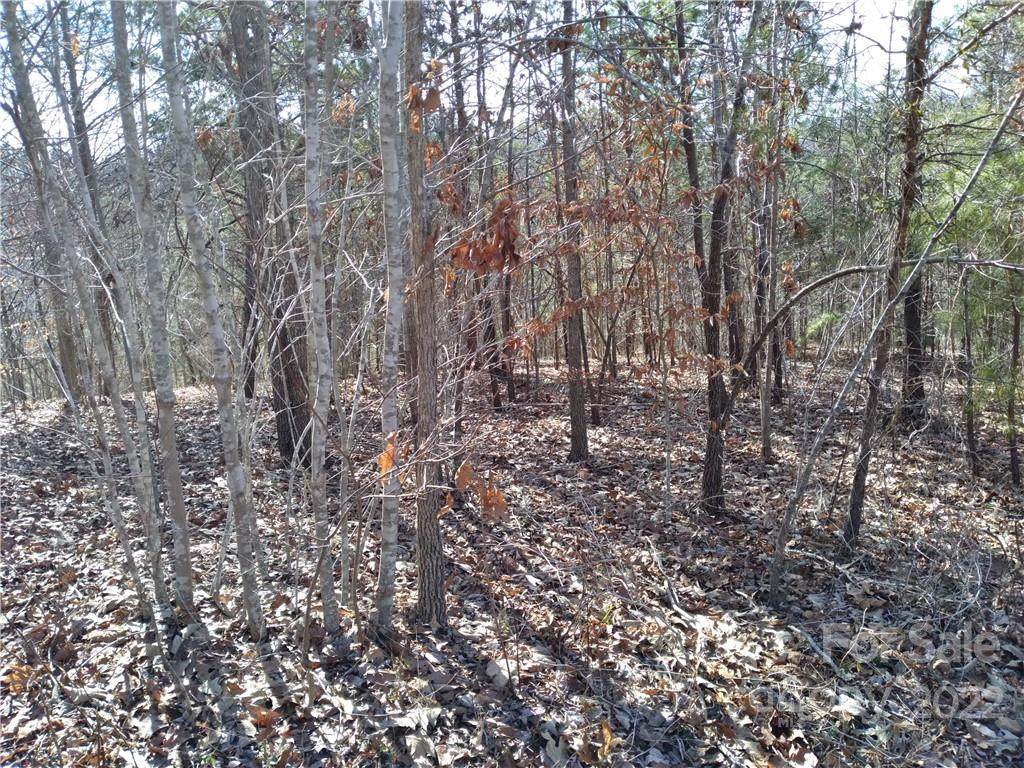 0 Clearwater Parkway - Photo 1