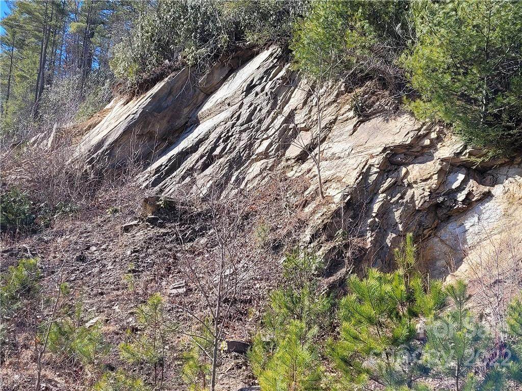 57 Greasy Creek Road - Photo 1