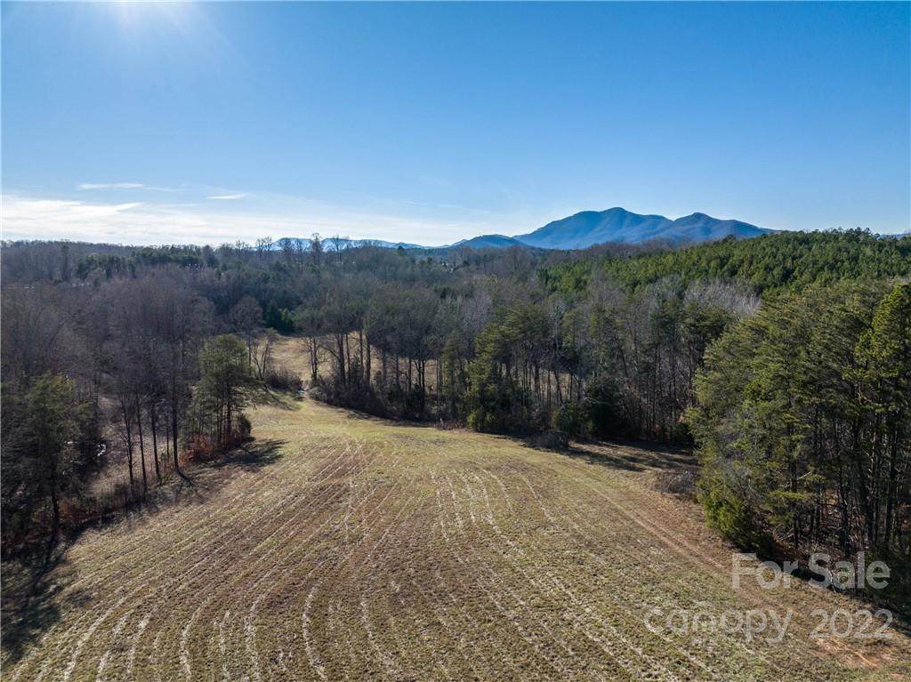 Lot 48 A R Thompson Road - Photo 1
