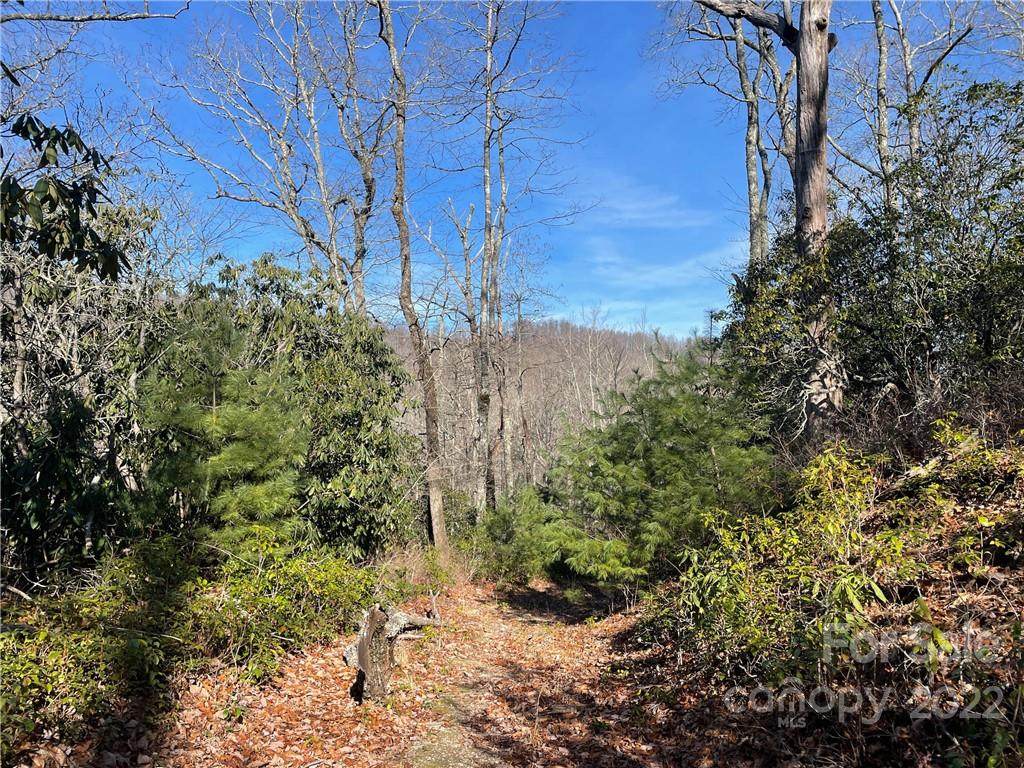 0000 Laurel Thicket Lane - Photo 1