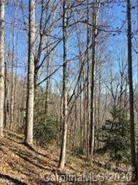 Lot 38 Eagles Ridge Road - Photo 1
