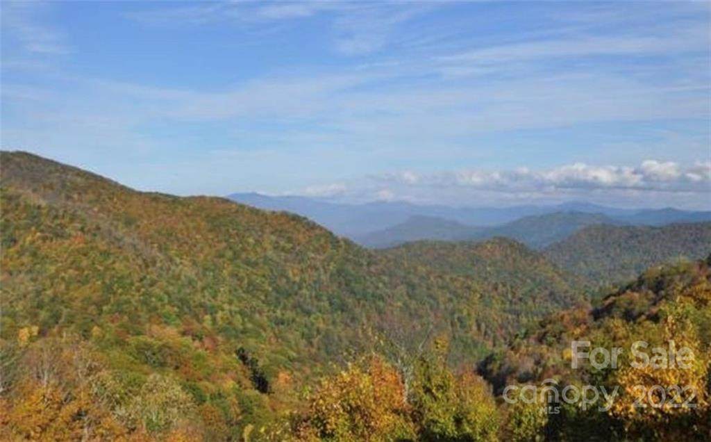 251 Grouse Thicket Lane - Photo 1