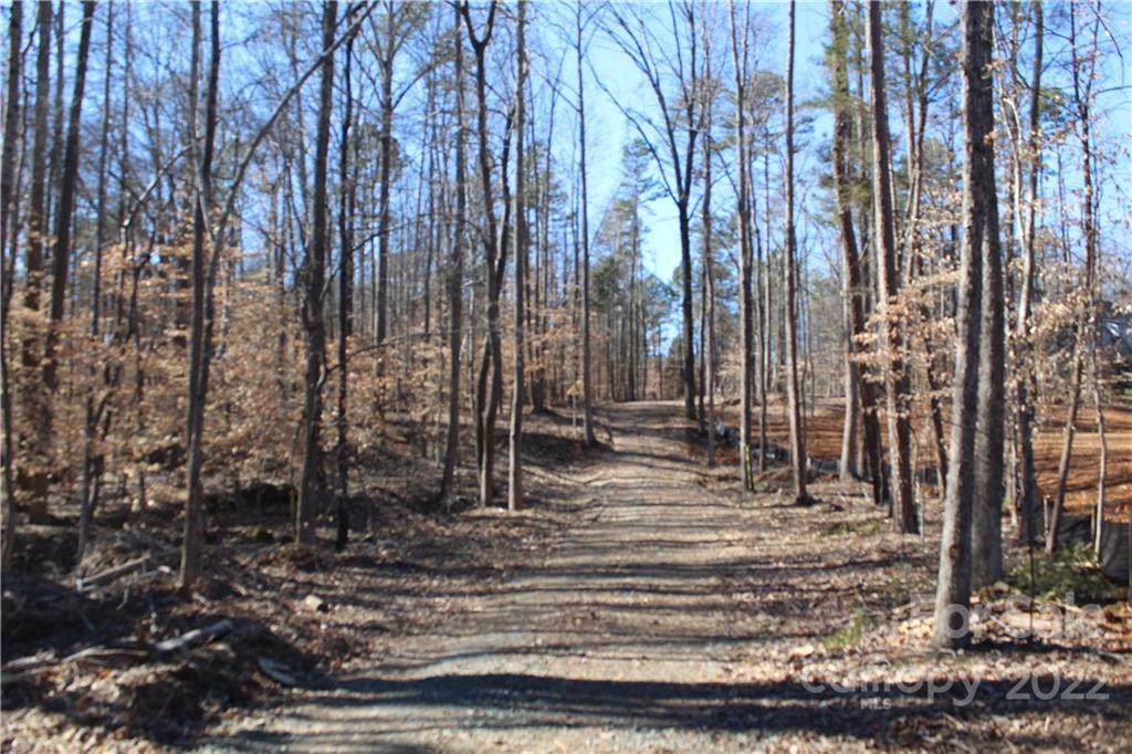 9819 Minnie Lemmond Lane - Photo 1