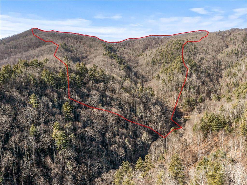 1001 Duck Mill Road - Photo 1