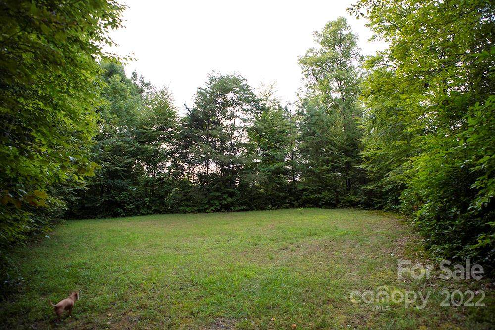 0 Jenkins Branch Road - Photo 1