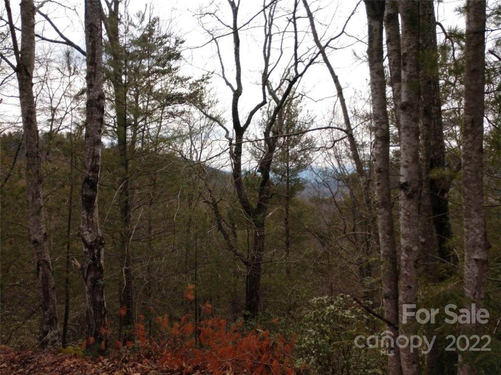 00 Deer Ridge Trail - Photo 1
