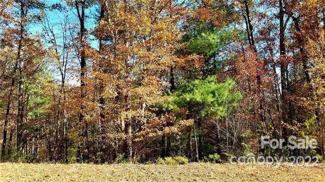 0 High Trail Drive - Photo 1