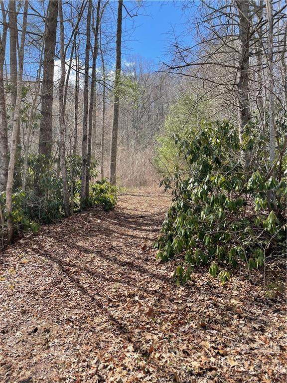 9999 Ponderosa Drive - Photo 1