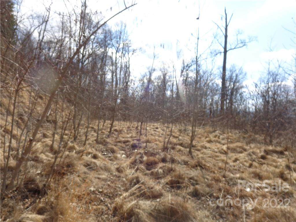 Lot 27 & 28 Blake Drive - Photo 1