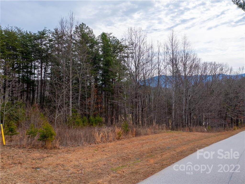 LOT 67 Chestertown Drive - Photo 1