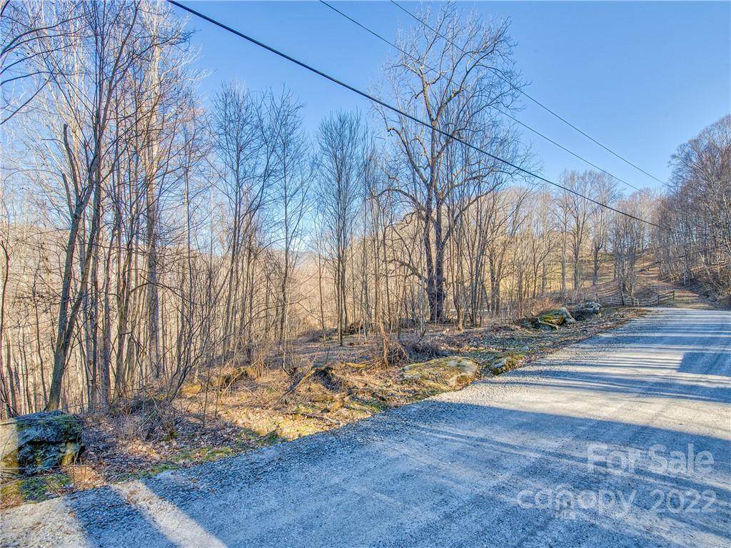 00 Appaloosa Trail - Photo 1