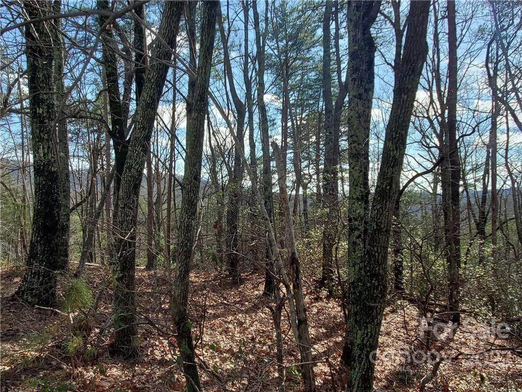 Lot 86 Volley Way - Photo 1