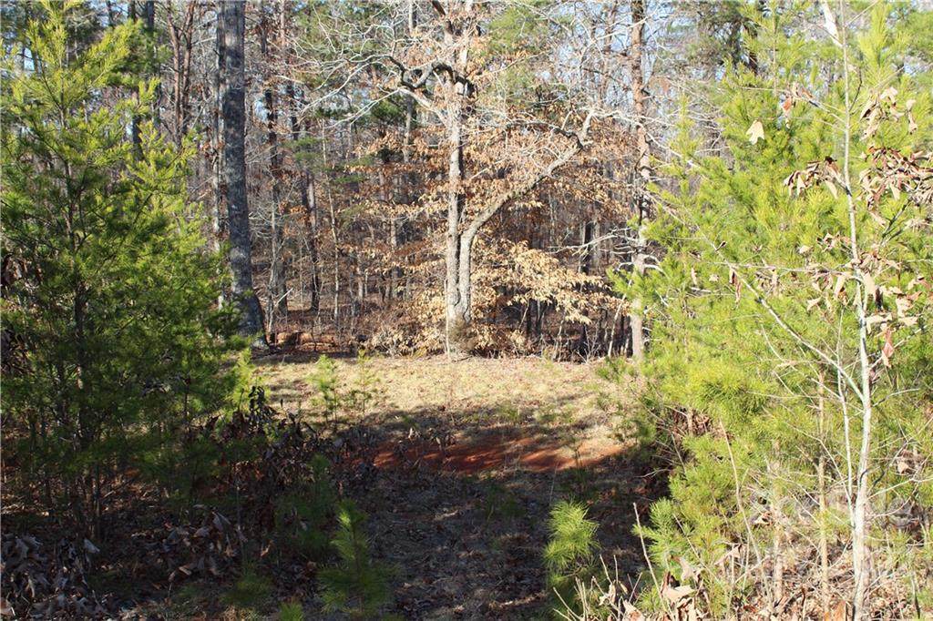 105 Acres Stockton Lane - Photo 1