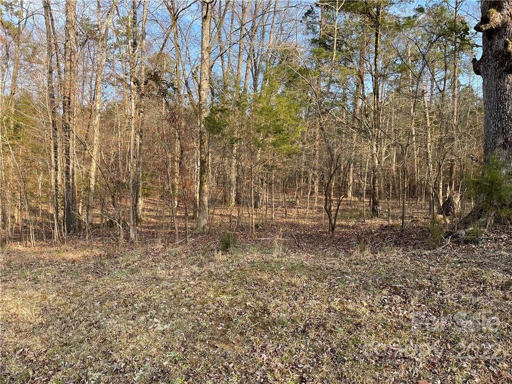 587 Sleepy Hollow Lane - Photo 1