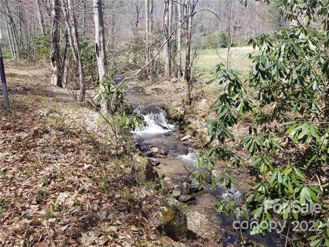 612 Upper Doe Bag Road - Photo 1