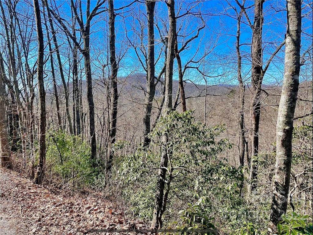 Lot 20 Langwood Drive - Photo 1