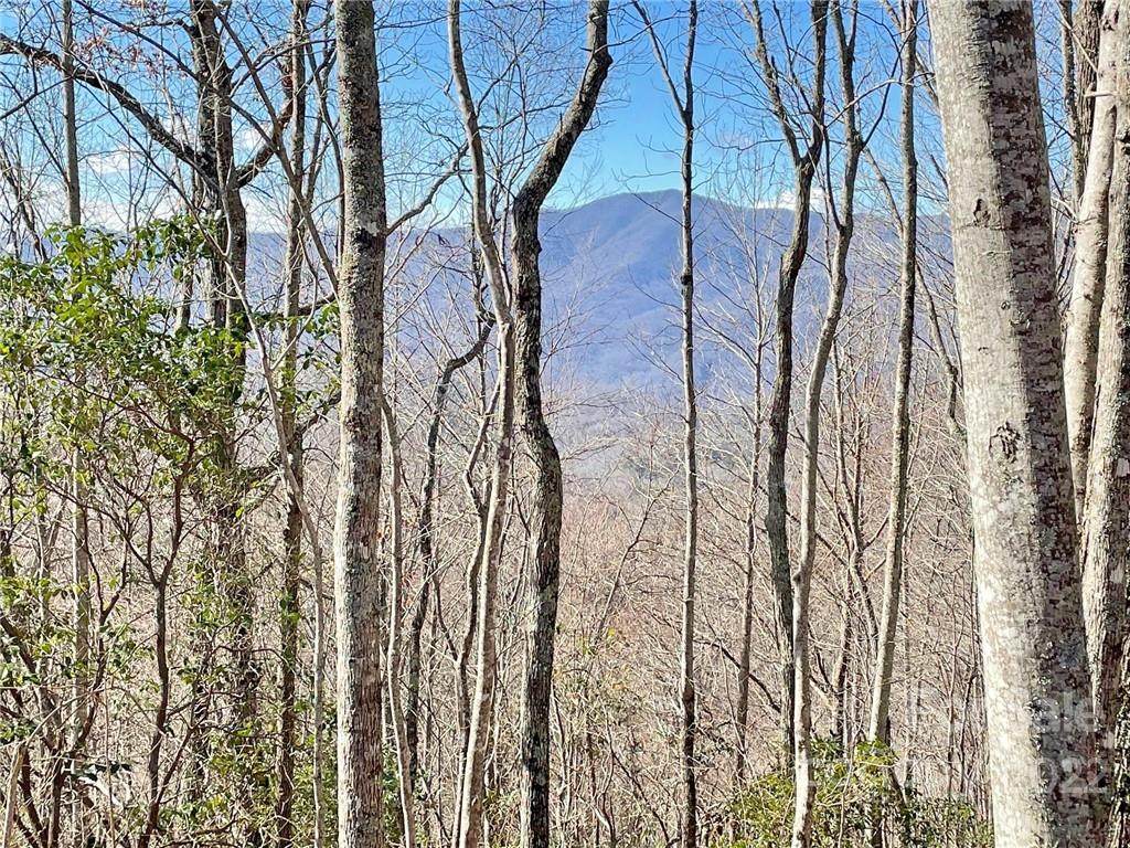 7 Brow Log Way - Photo 1