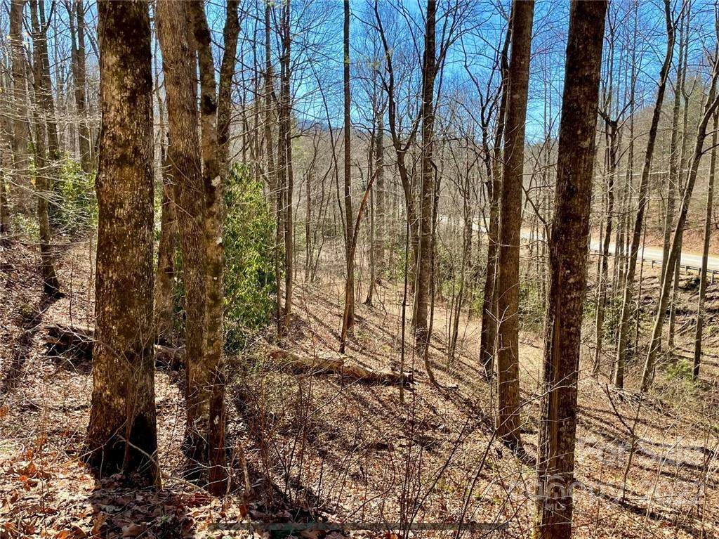 Lot 28 Grayson Court - Photo 1