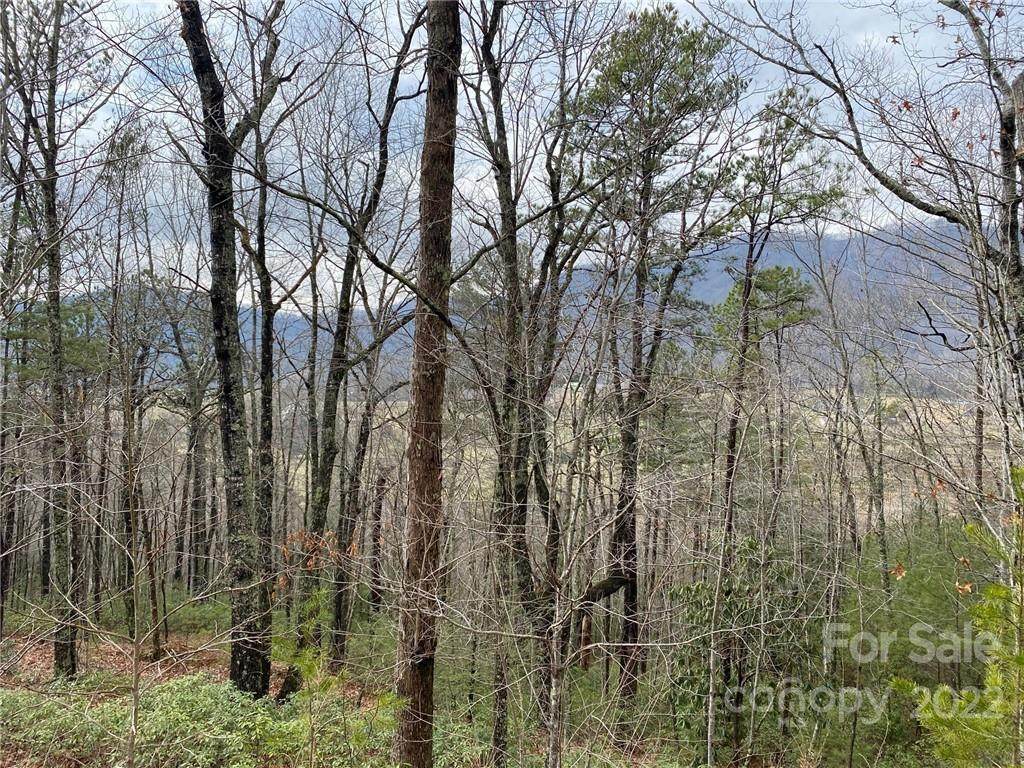 TBD Old Linville Road - Photo 1