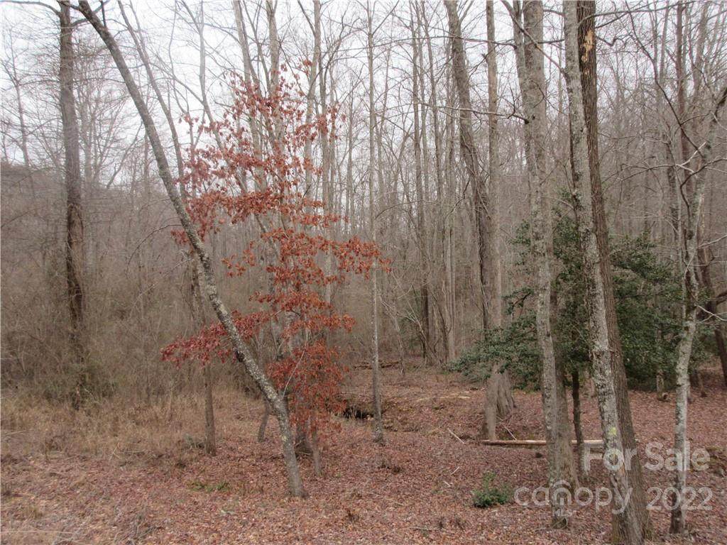Lot 67 Big Branch Drive - Photo 1
