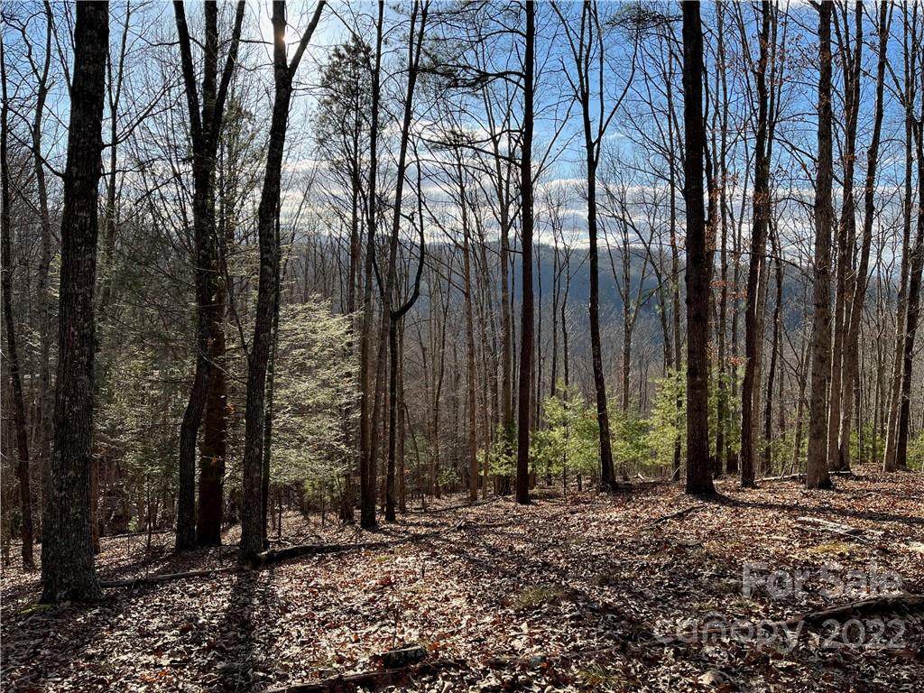 921 Wild River Run - Photo 1