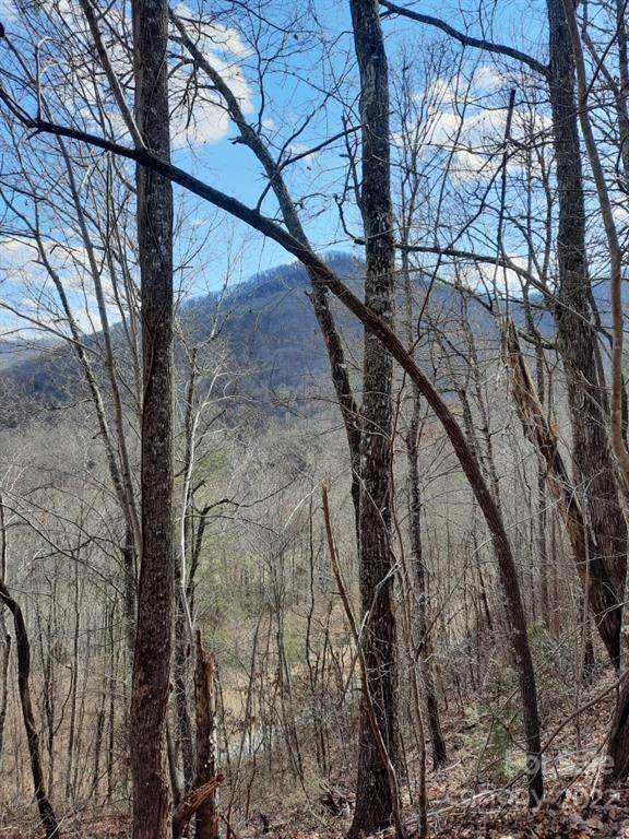 0000 Silverado Trail - Photo 1