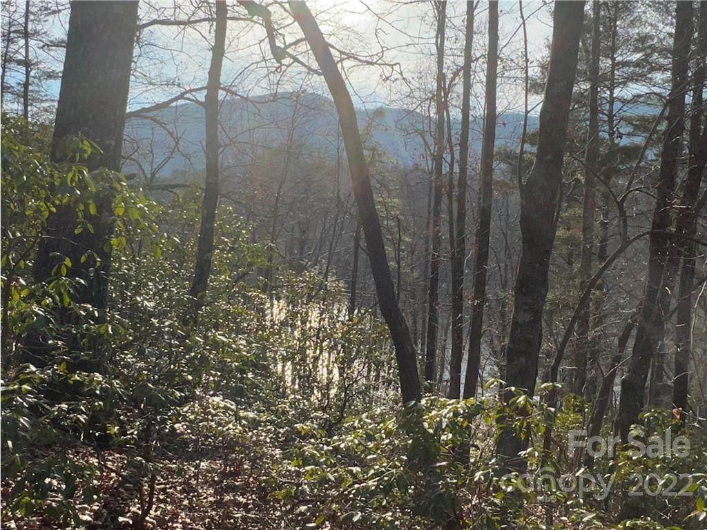 LOTS 120 & 121 Buffalo Creek Road - Photo 1