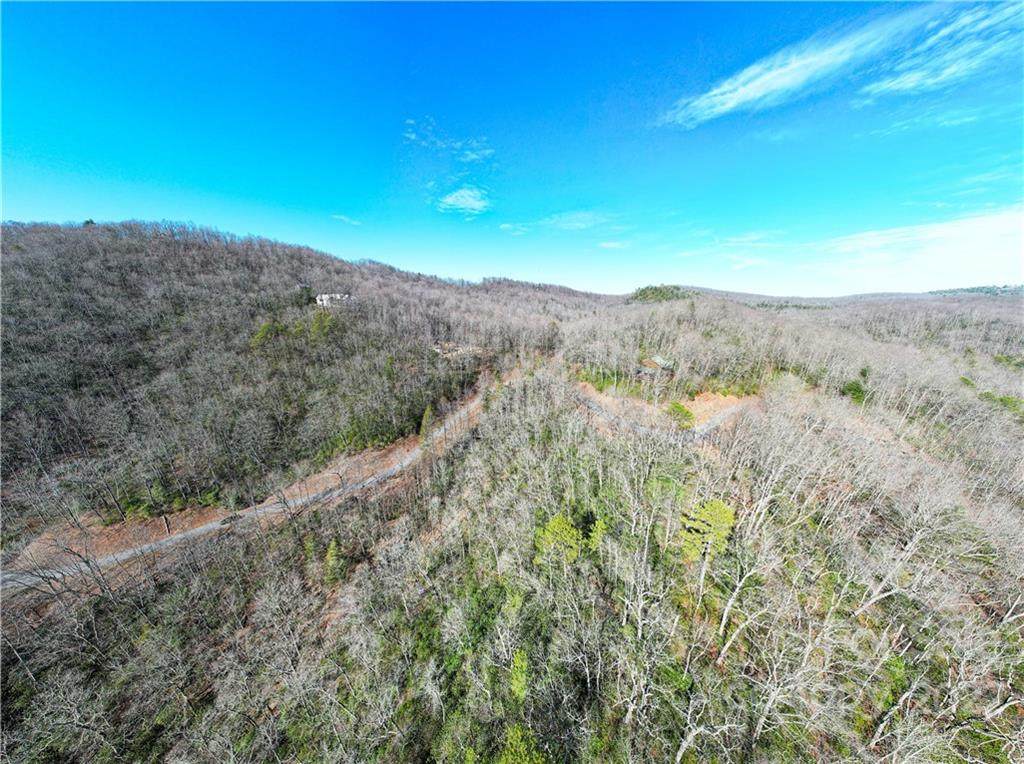 TBD Laurel Thicket Lane - Photo 1
