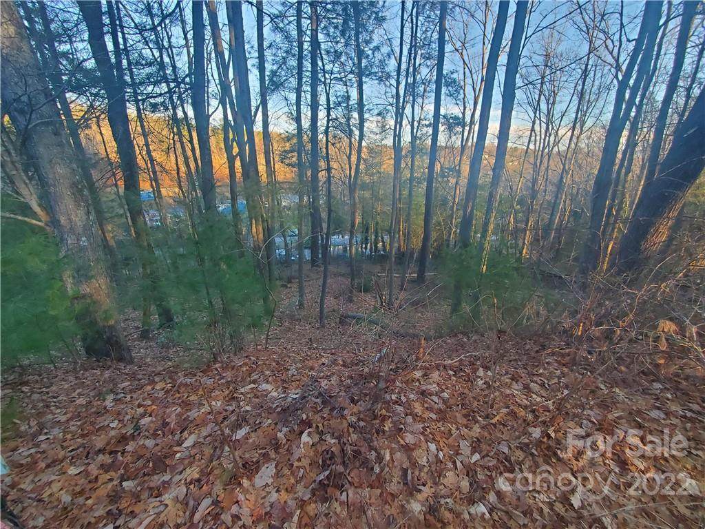 39 Forest Spring Drive - Photo 1