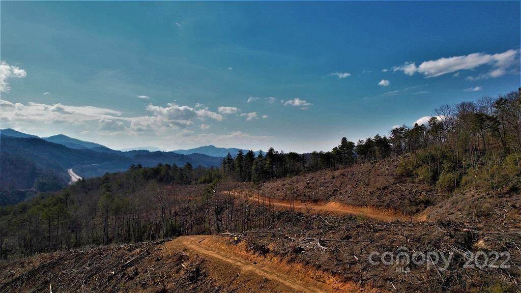 471 Old Bryson City Road - Photo 1