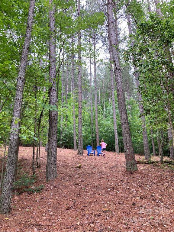 0 Branch Drive - Photo 1