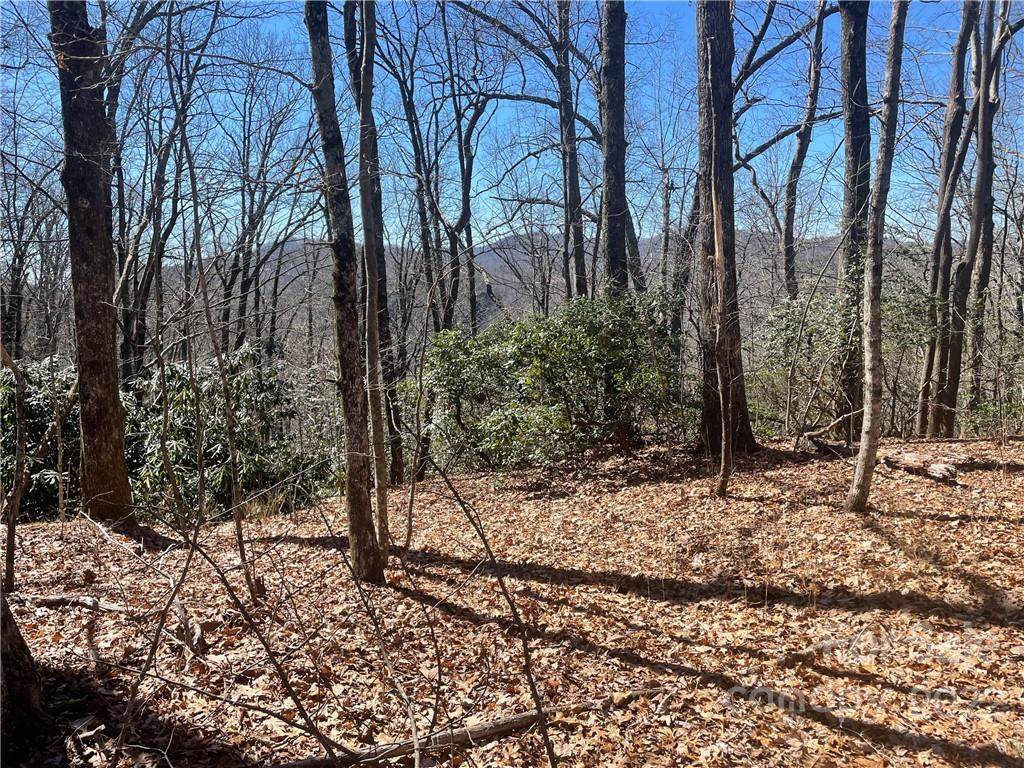 Lot 18 Joshua Road - Photo 1