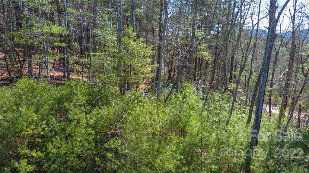 99900 Trellem Trail - Photo 1