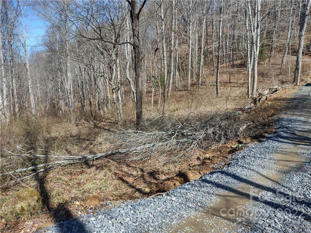Lot 35 Wakulla Way - Photo 1