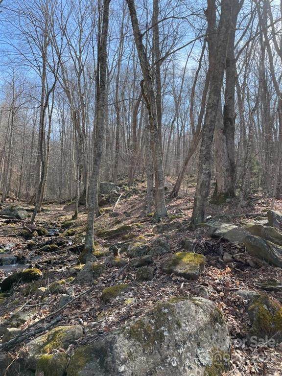 000 Broad Branch Road - Photo 1