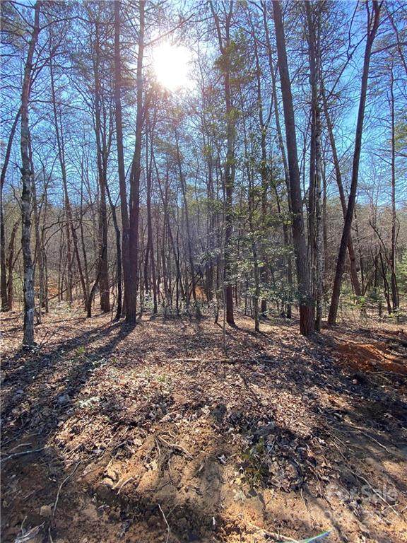 91 Conner Drive - Photo 1