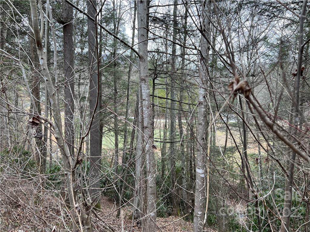 19 Smokey Mountain Trail - Photo 1