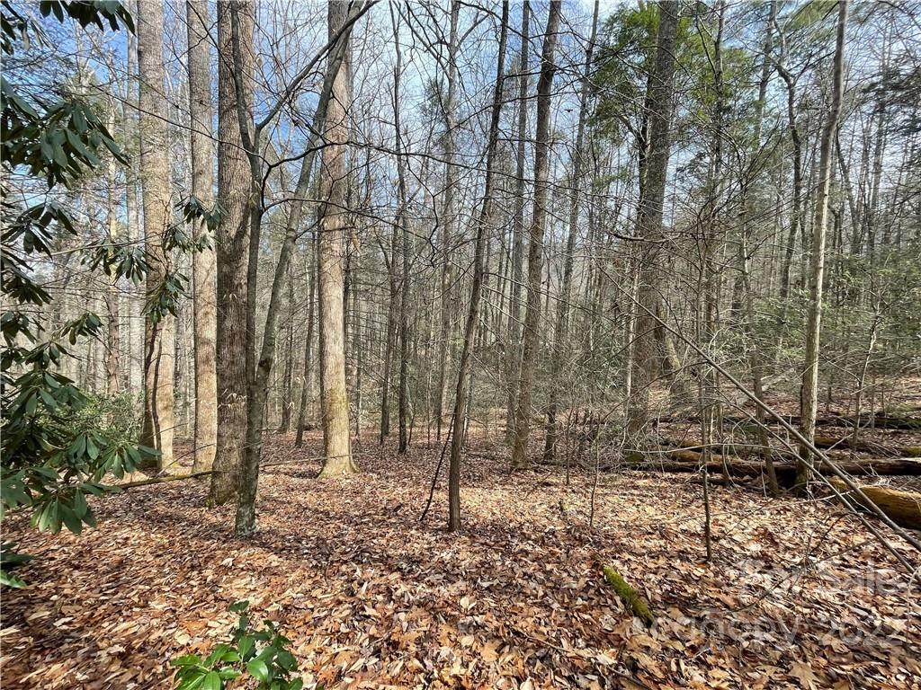 99999 Angelwood Lane - Photo 1