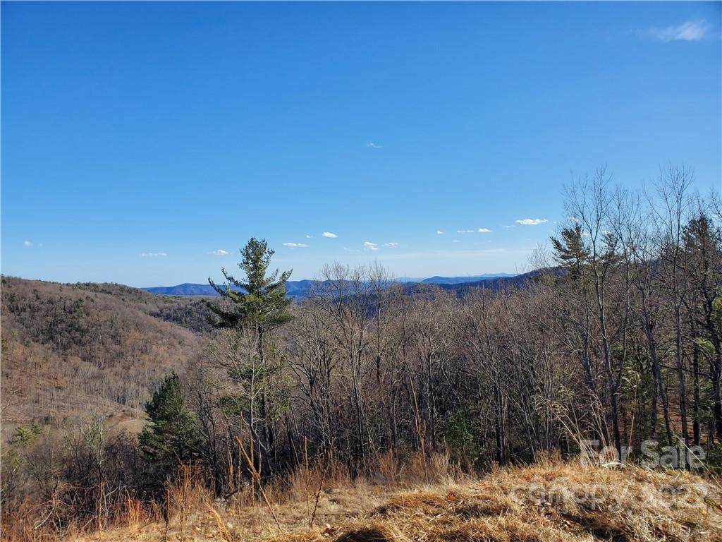T-3 Thunder Ridge Lane - Photo 1
