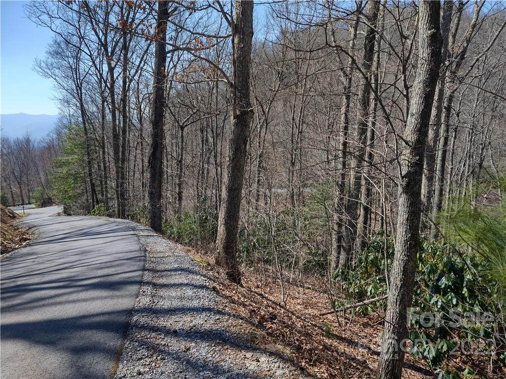 Lot 2 Valhalla Cove - Photo 1