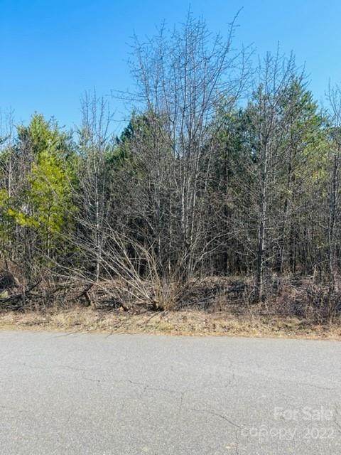 2804 Drummond Street - Photo 1