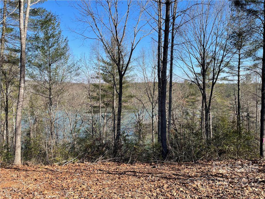 4018 Nesting Lane - Photo 1